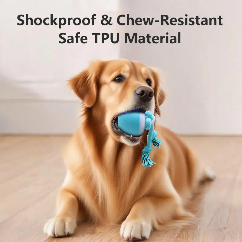 Smart Durable Chew Dog Ball Teeth Grinding Sound Toy Pet Smart Rolling Ball Electric Dog Boredom Relief Rolling