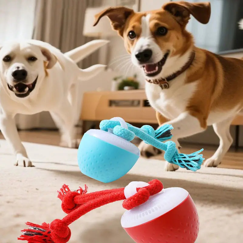 Smart Durable Chew Dog Ball Teeth Grinding Sound Toy Pet Smart Rolling Ball Electric Dog Boredom Relief Rolling